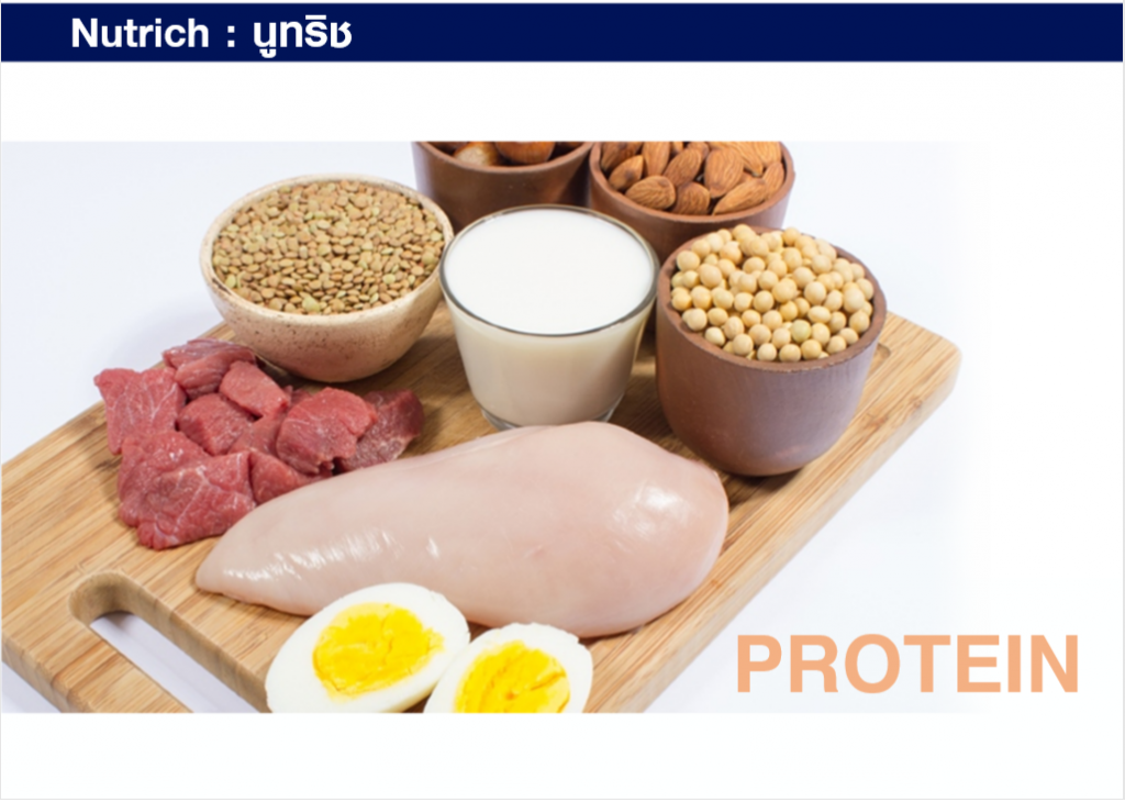 Nutrich,
นูทริช,
Nutrich ultima life,
นูทริช ultima life,
เวย์โปรตีน,
Whey Protein,
โปรตีนจากถั่วเหลือง,
อาหารเสริมโปรตีน,
Nutrich ราคา เท่า ไร,
Nutrich ซื้อ ที่ ไหน,
Nutrich ตัวแทน,
Nutrich lazada,
Nutrich shopee,